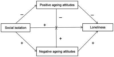 Social isolation and loneliness among Chinese older adults: Examining aging attitudes as mediators and moderators